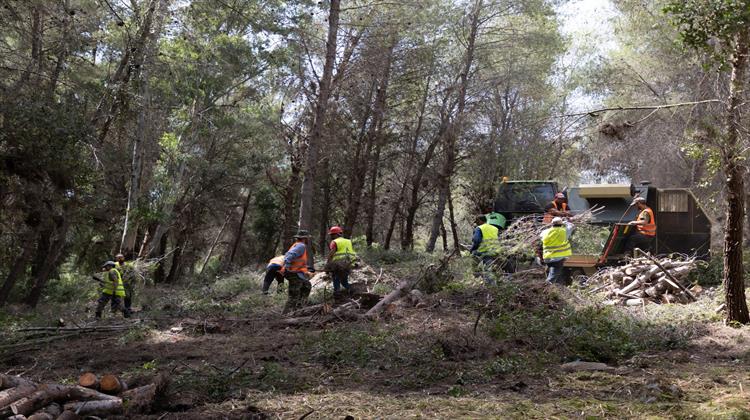 Αυτοψία Γ. Αμυρά σε Εργασίες Αντιπυρικής Πρόληψης στο Νομό Ηλείας